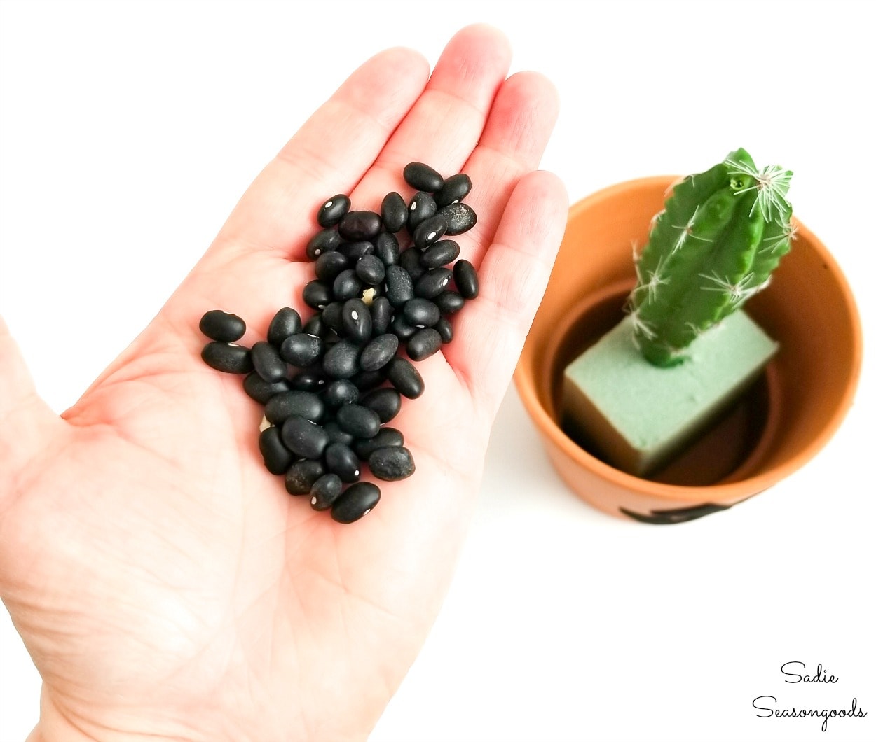 Dried beans as vase filler for a fake cactus