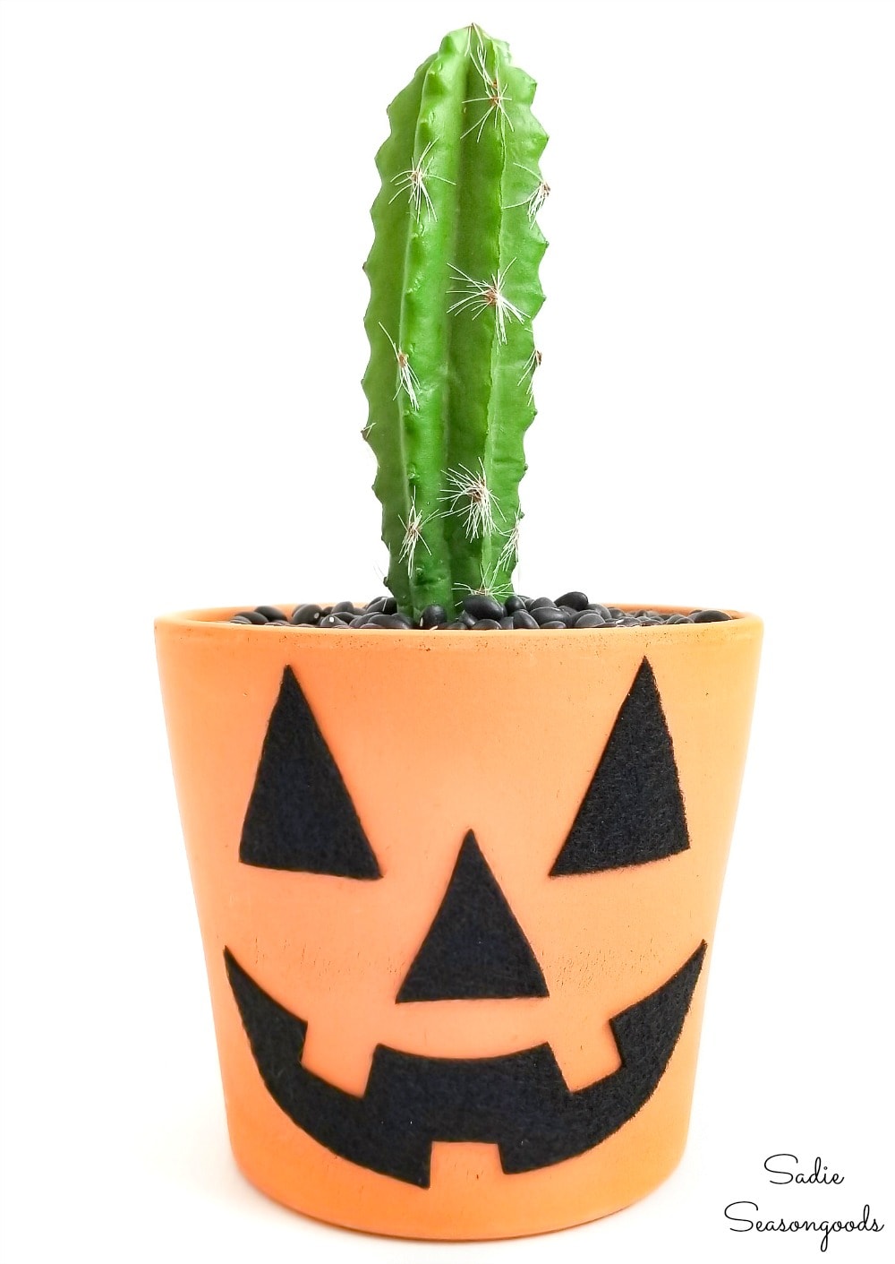 Terracotta jack o lantern with a cactus for a stem