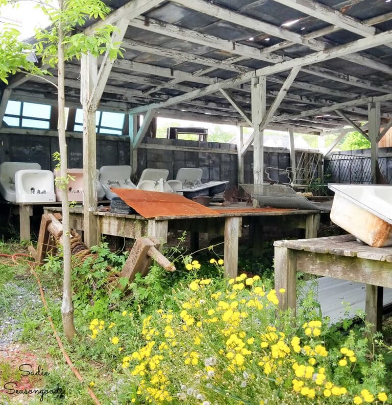 Antique and Thrift Stores in Asheville, NC Let's Go Junkin'!