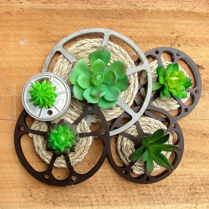 Succulent display with old movie reels or film reels