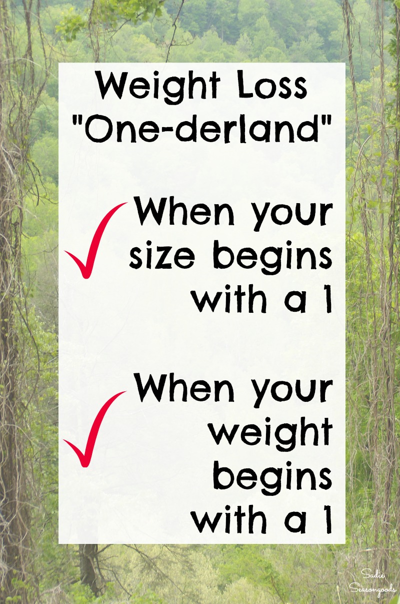 Onederland for losing weight and the power of numbers during a weight loss journey