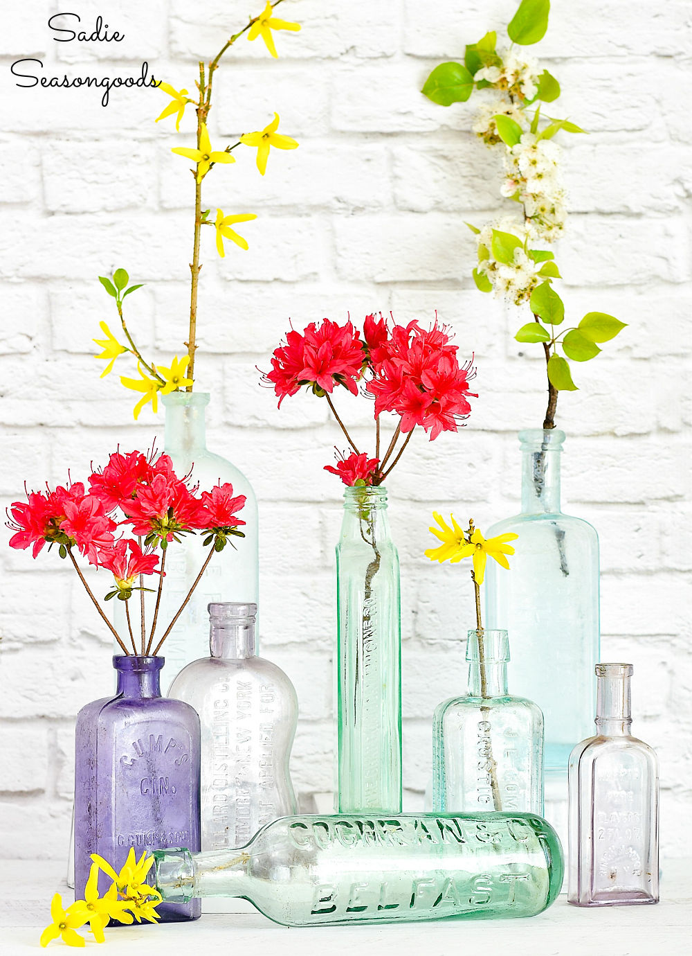 Vintage bottles as bud vases