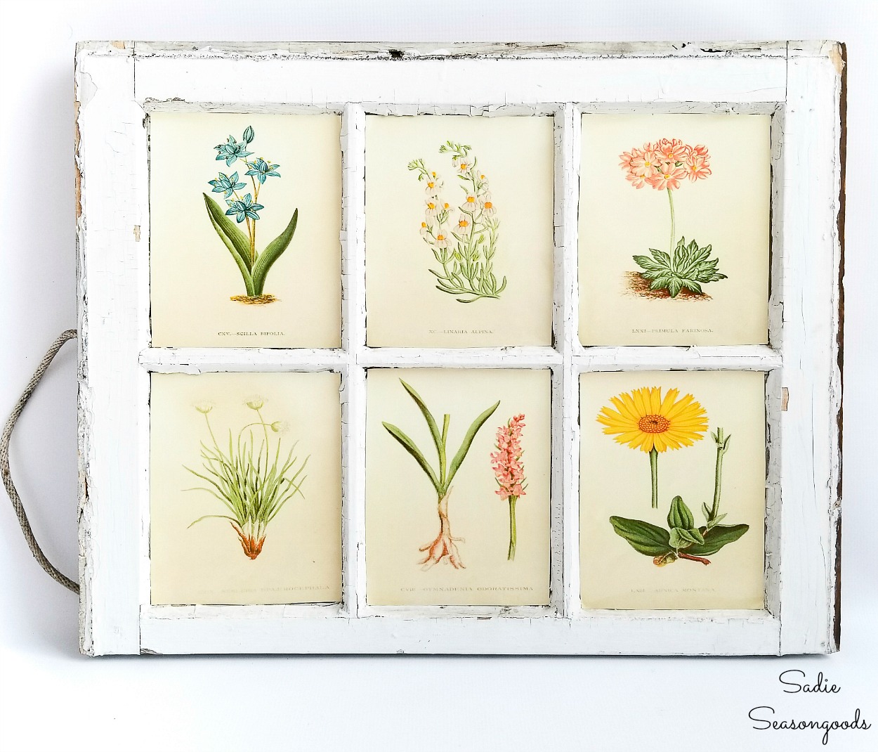 Botanical wall art by upcycling a vintage window as the frame