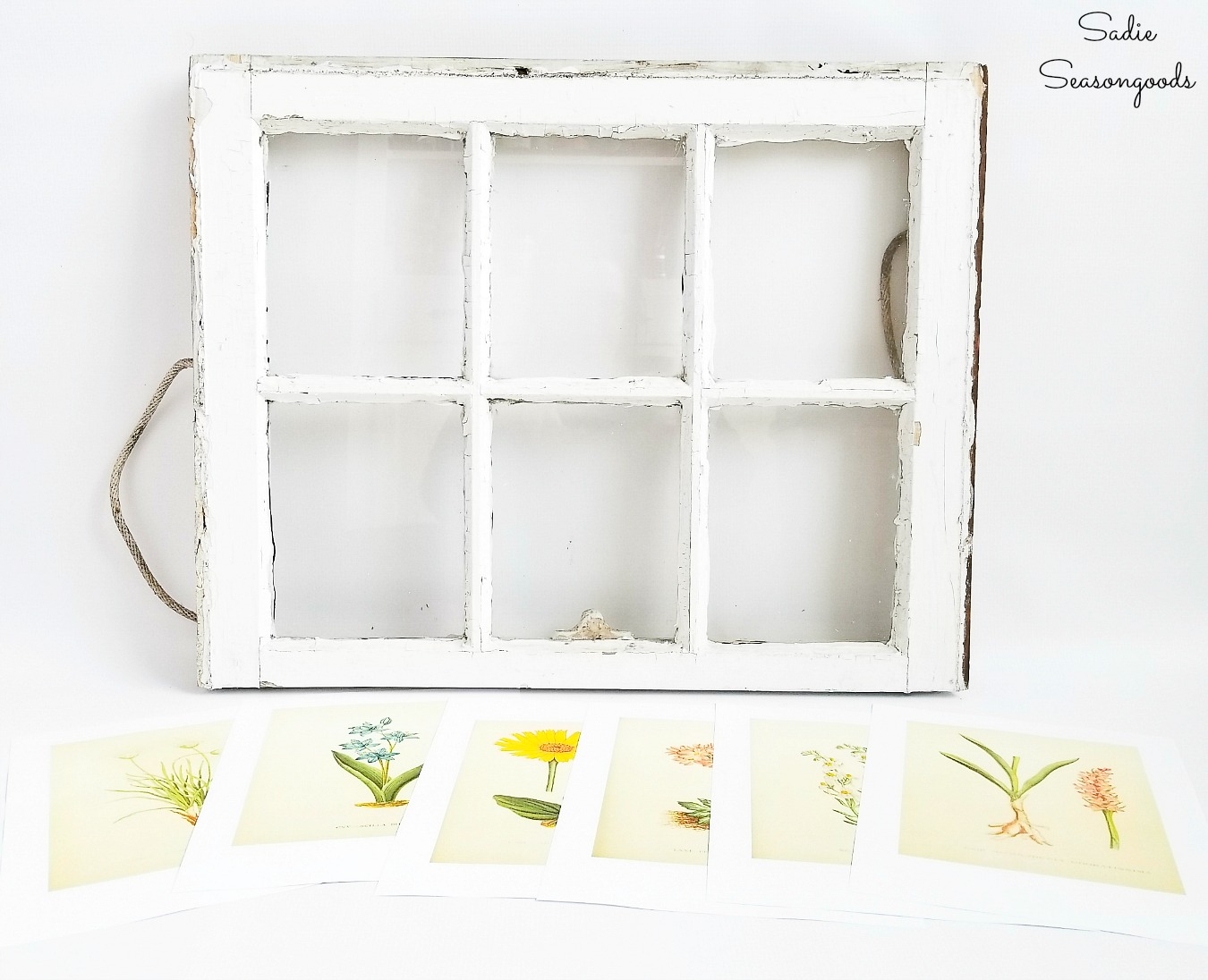 Upcycling a vintage window to use as botanical wall art