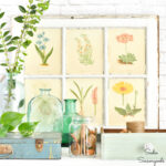 Botanical Decor from the Thrift Store