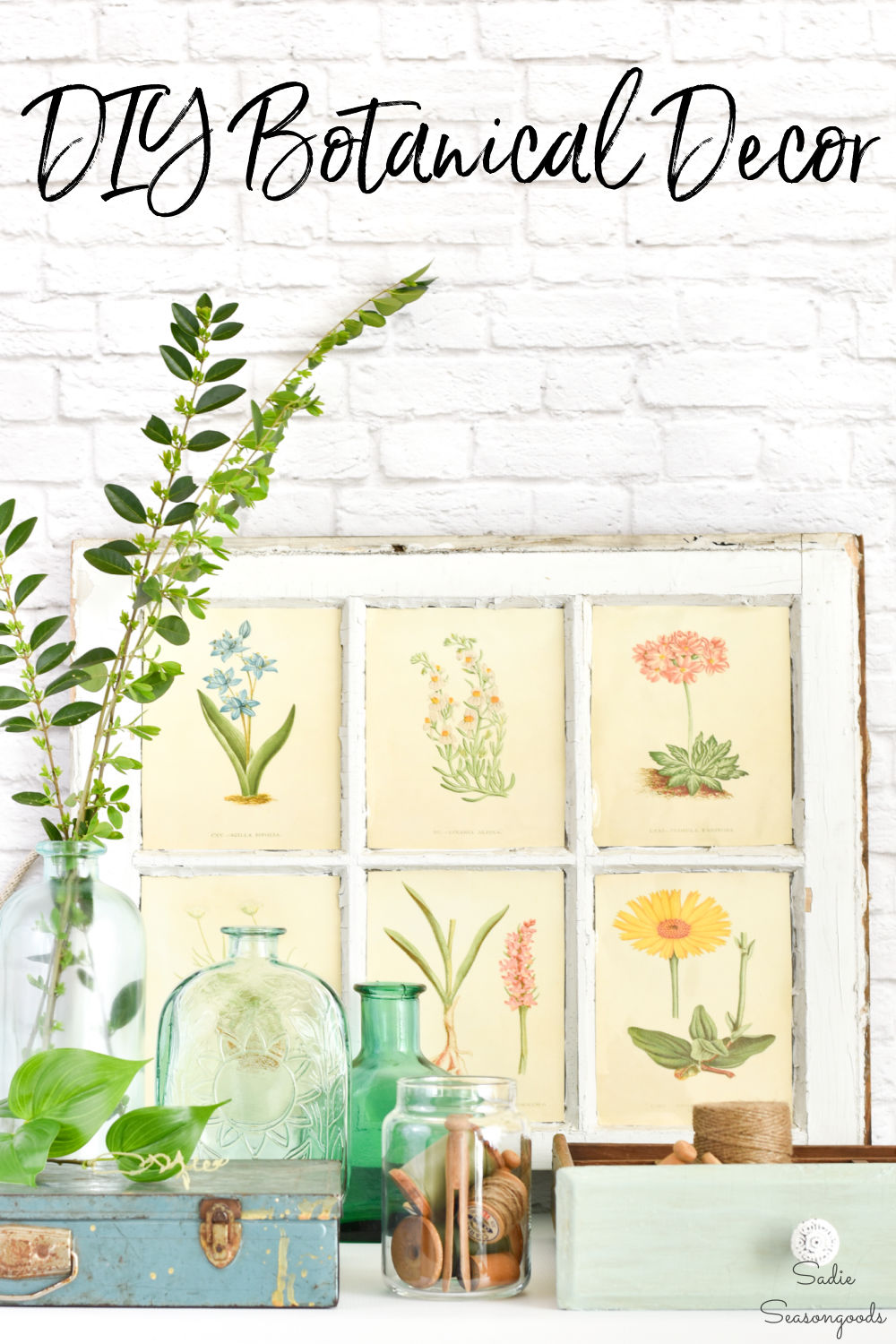 Thrifting for botanical decor