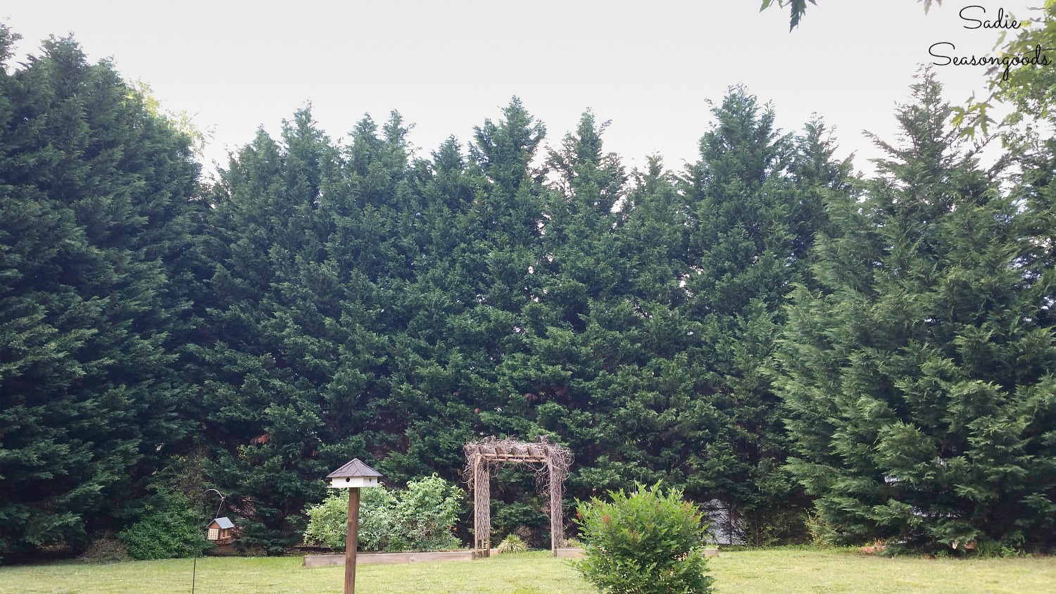 Mature trees in the yard as sources of cover in certified wildlife habitat