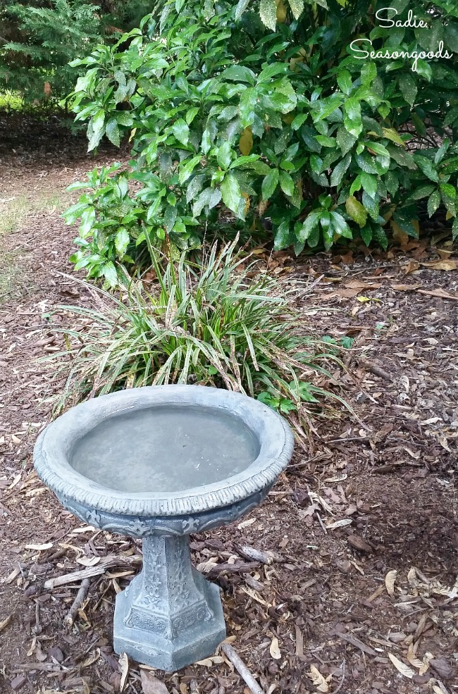 Vintage bird bath and statuary for bird habitat