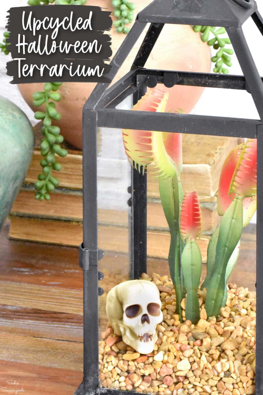 fake venus fly trap in a spooky terrarium