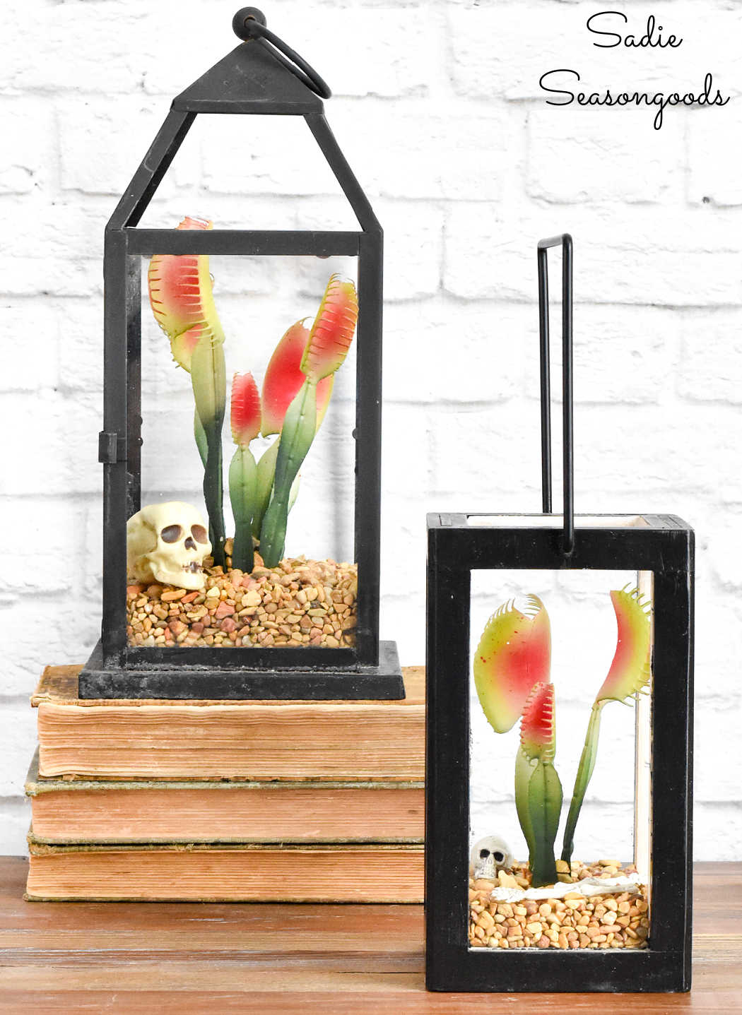 lantern terrarium for halloween