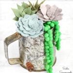 Felt succulents