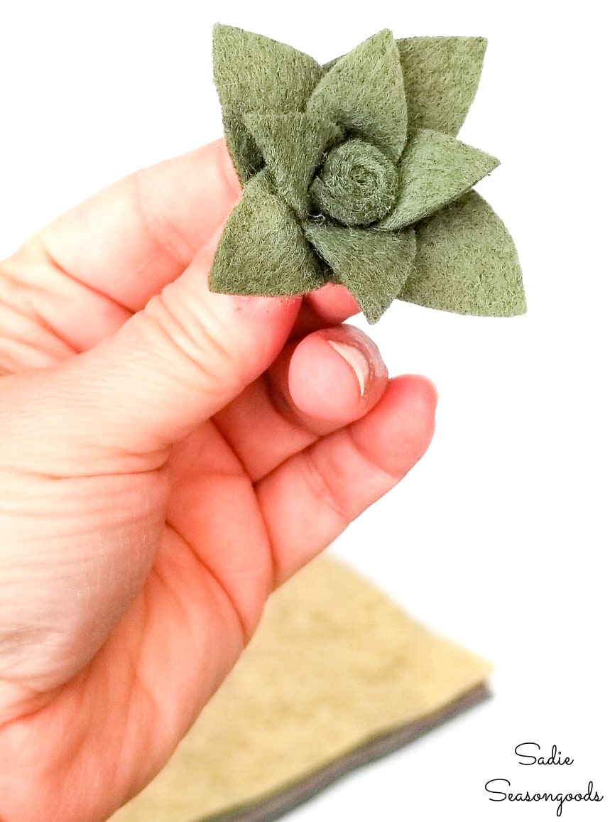 Felt Succulents: Easy to Make and Won't Die On You! - Jennifer Maker