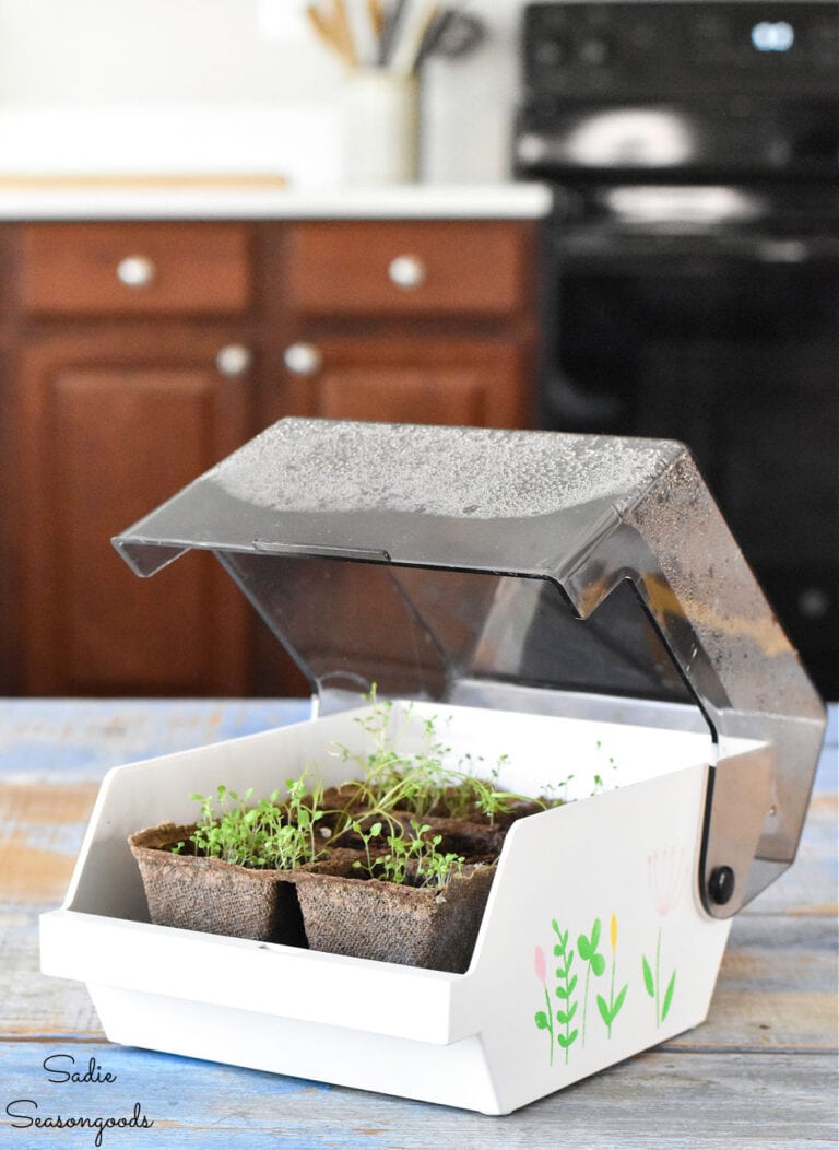 Tabletop Greenhouse from a Floppy Disk Holder for Starting Seeds