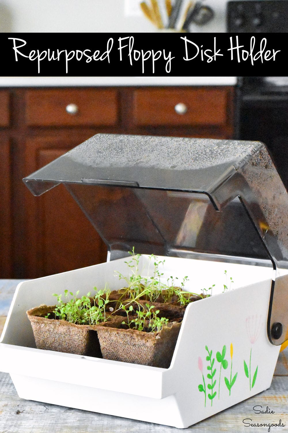 How To Re-purpose A Food Container As A Mini Greenhouse Kids