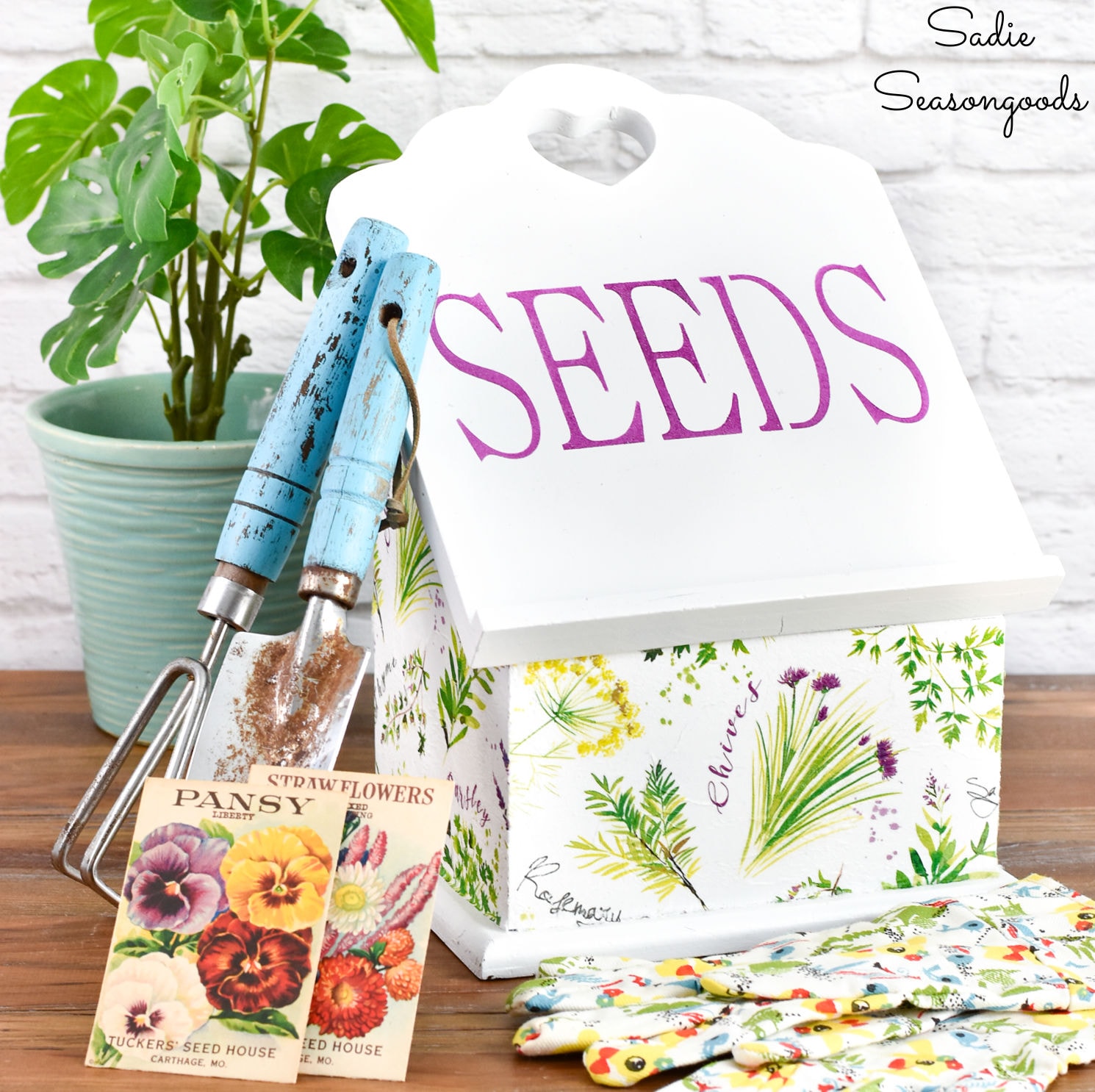 Seed Storage Box from a Wooden Salt Box