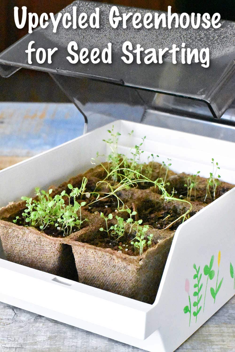 tabletop greenhouse for starting seeds indoors