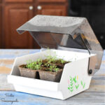 tabletop greenhouse from a floppy disk holder
