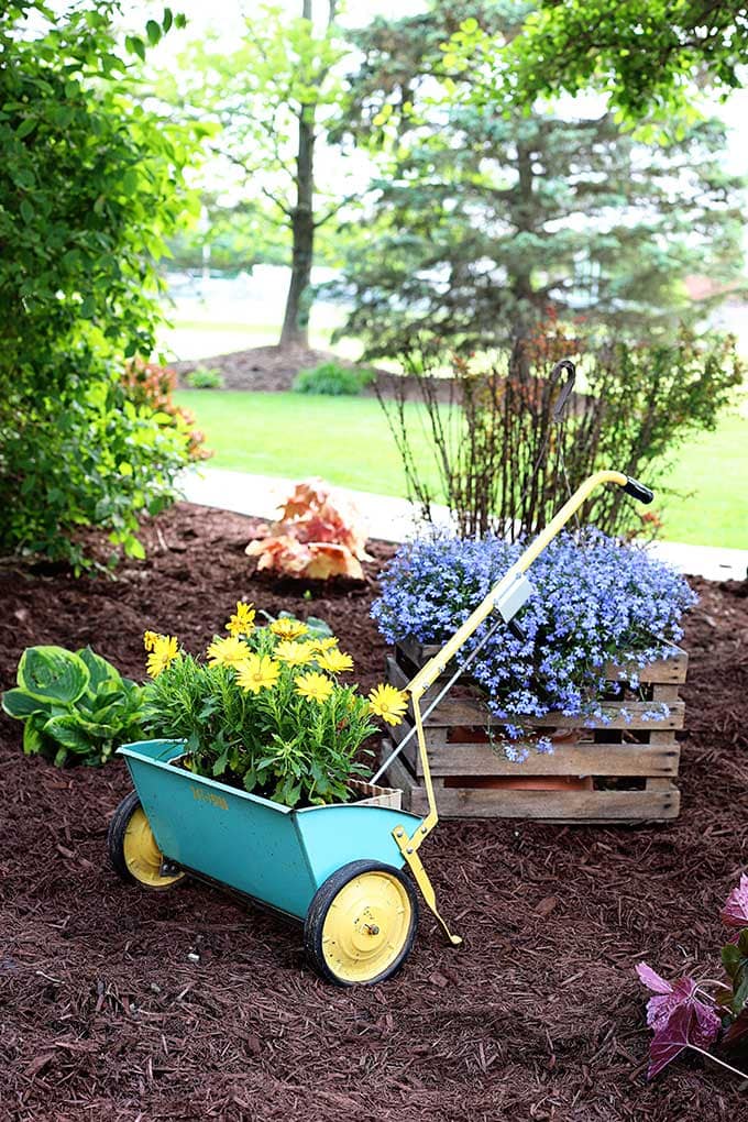 Vintage seed spreader as a planter for a junk garden