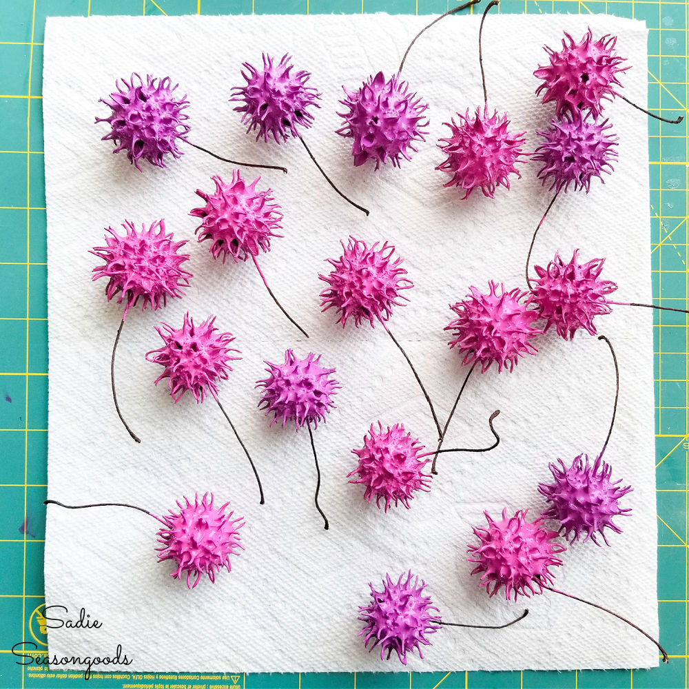 chive blossoms for decor