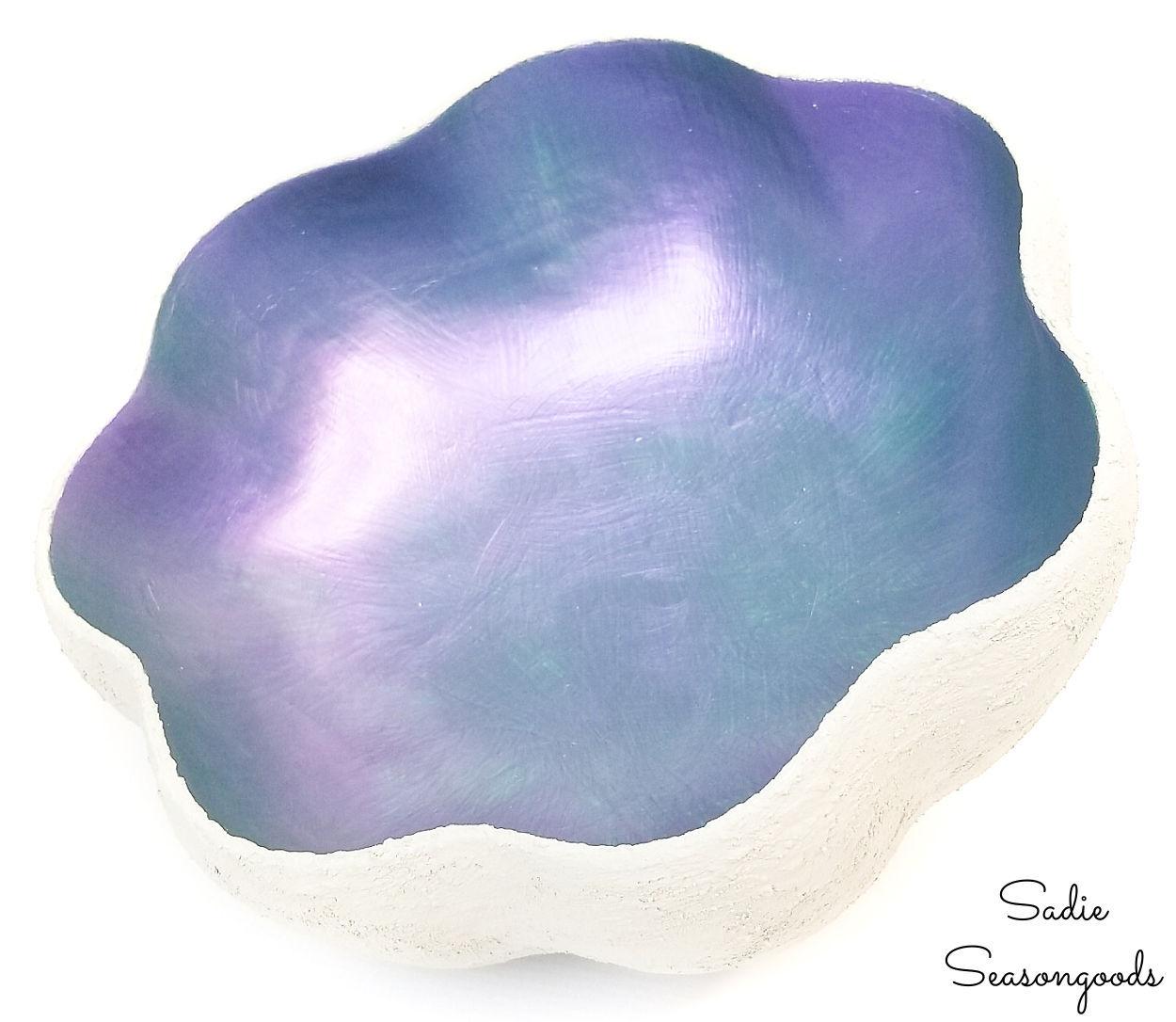 large clam shell