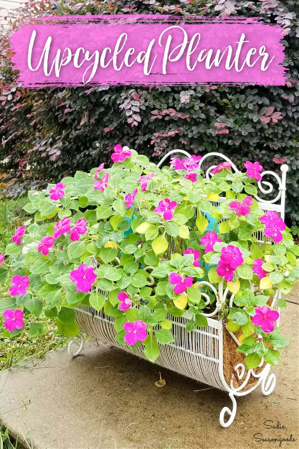 metal planter from a magazine rack