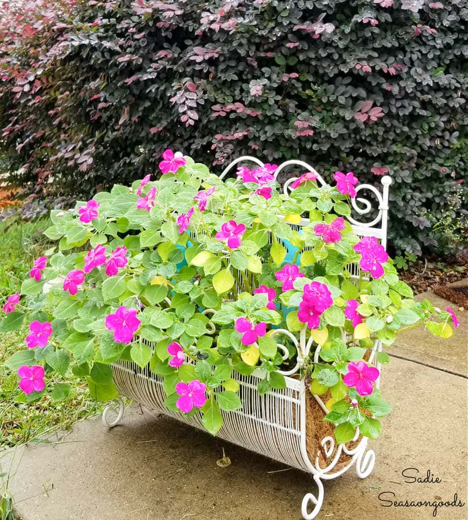 metal planter