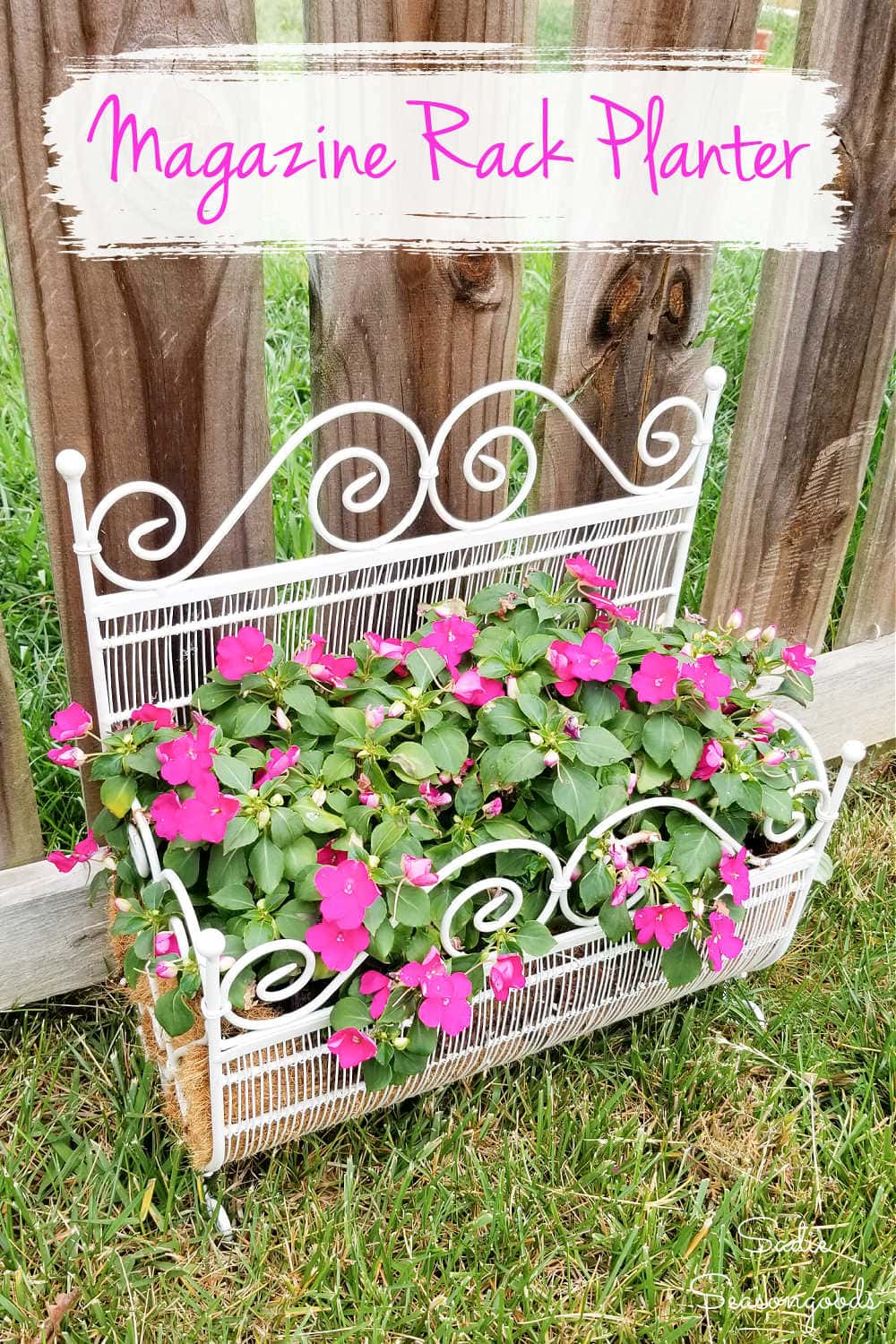 whimsical planter from a magazine rack