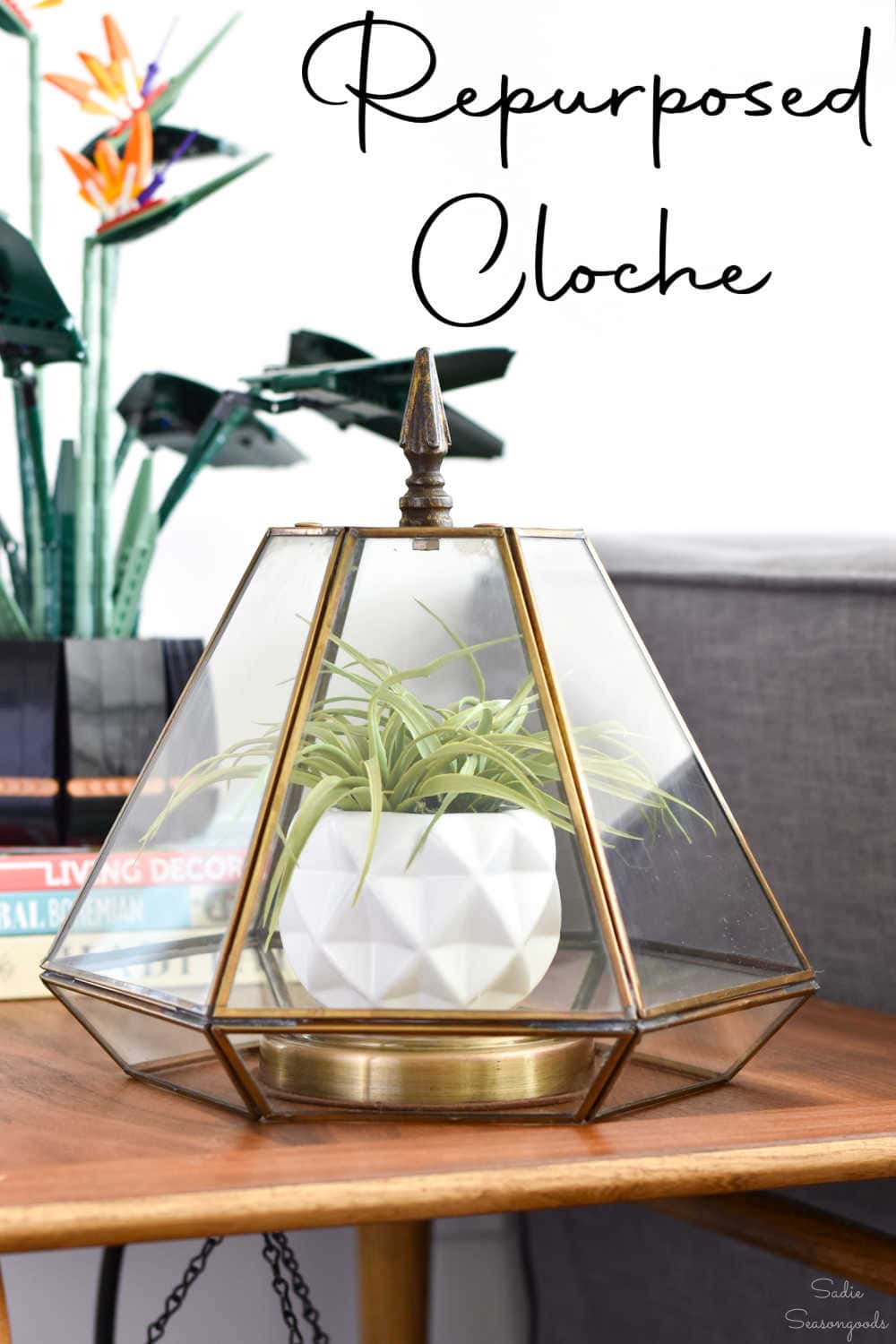 glass cloche from a light fixture