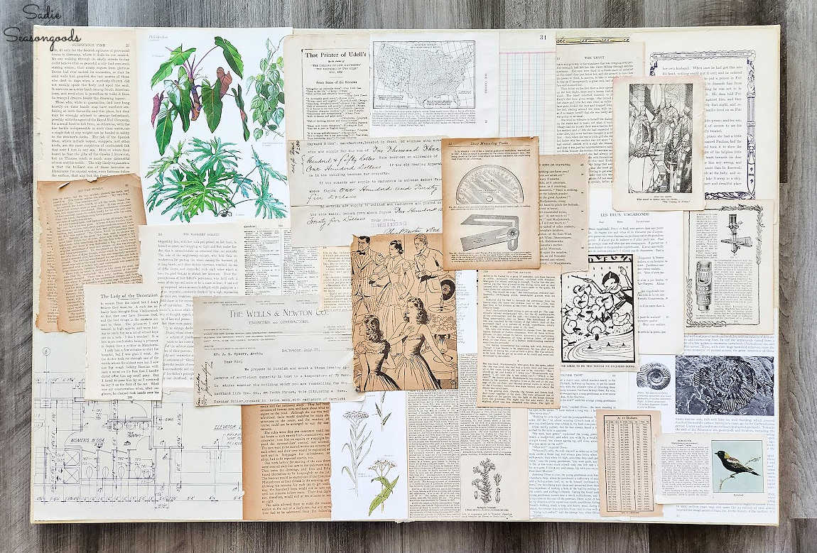 collage of book pages and vintage paper ephemera