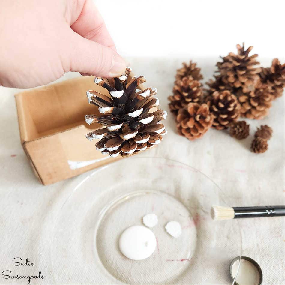 getting the look of snow covered pine cones with paint