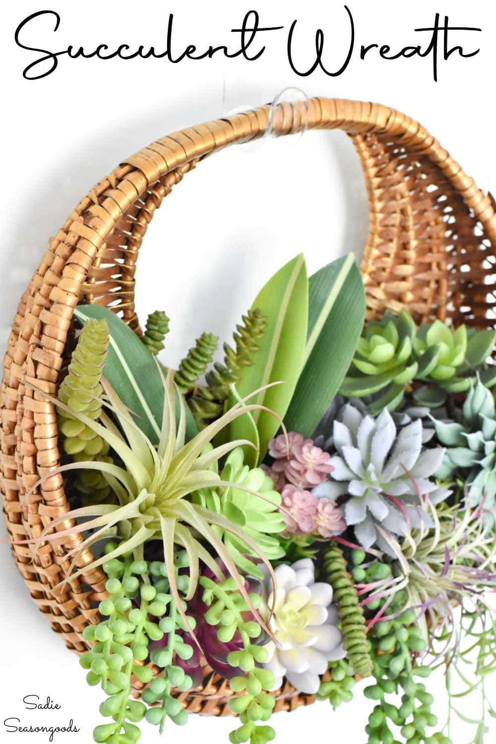 succulent wreath to hang indoors