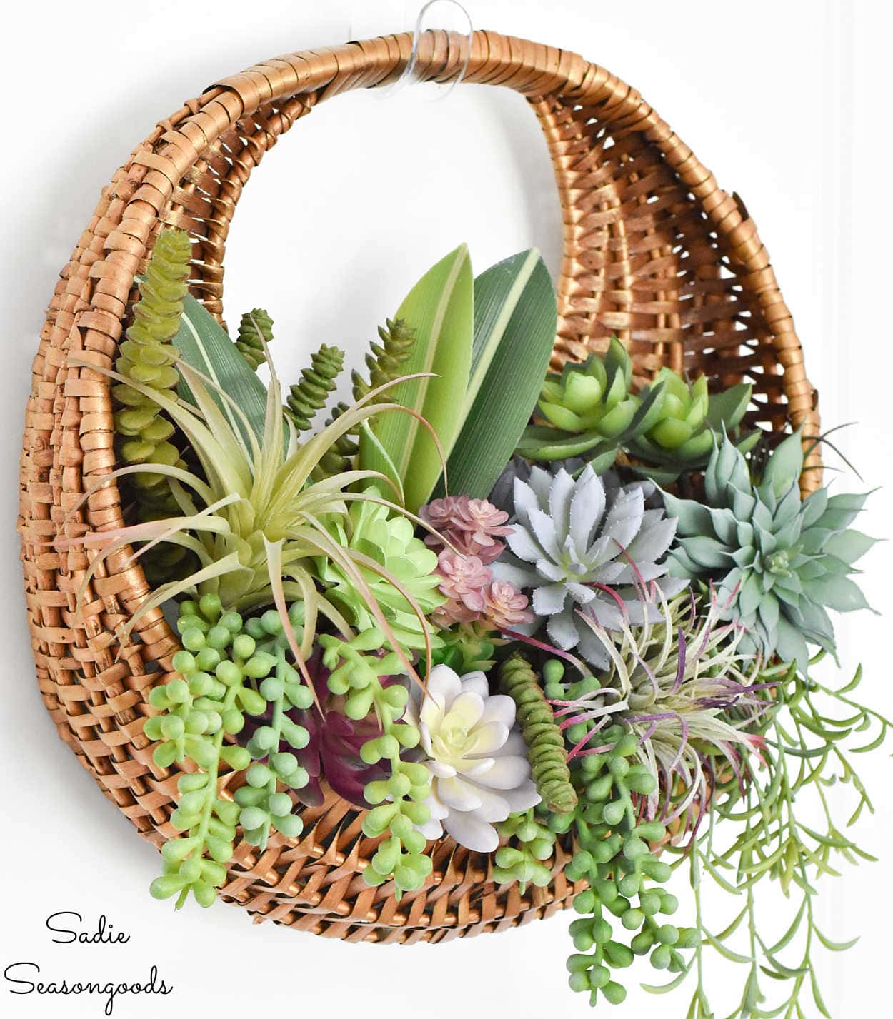 Succulent Hanger in a Wicker Wall Pocket