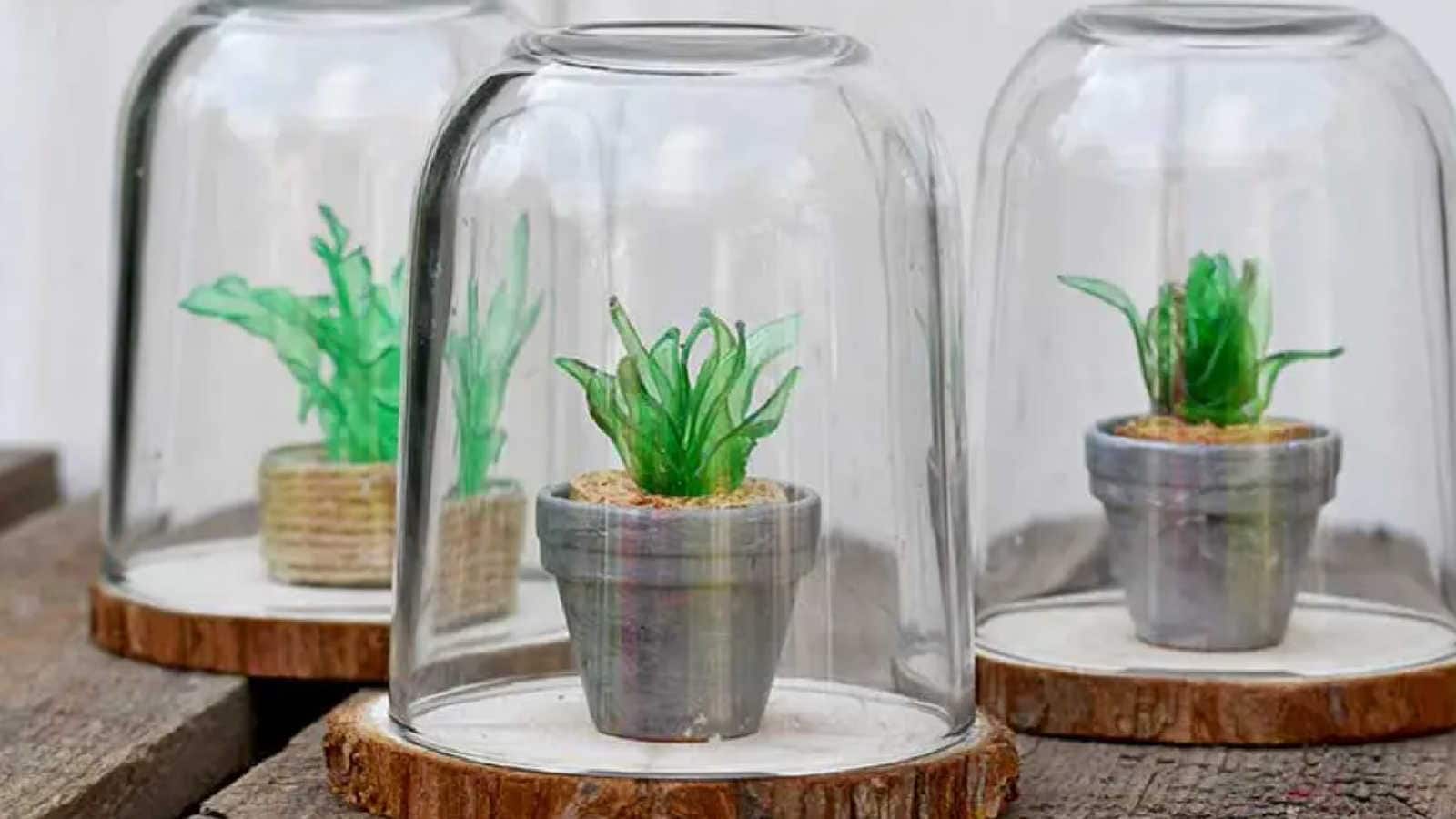plastic bottle terrariums