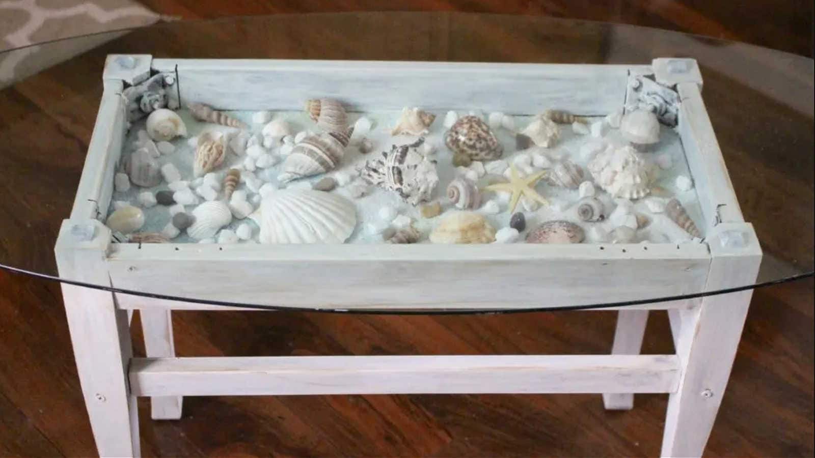 shadowbox table idea for a beachcomber