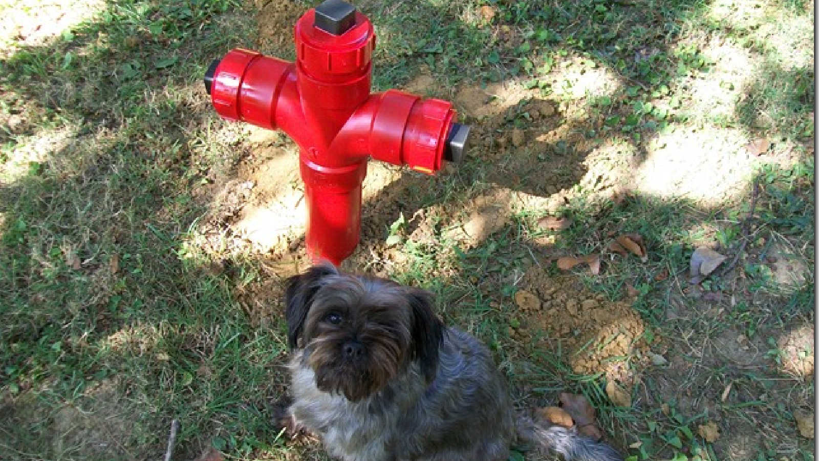 fire hydrant lawn ornament
