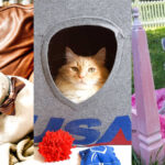 diy projects to make for cats and dogs