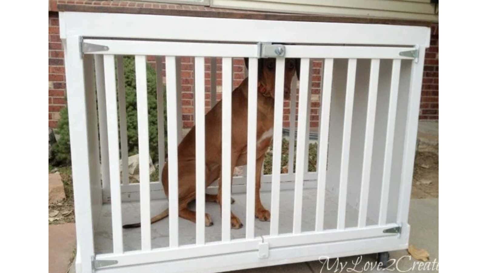 diy dog crate