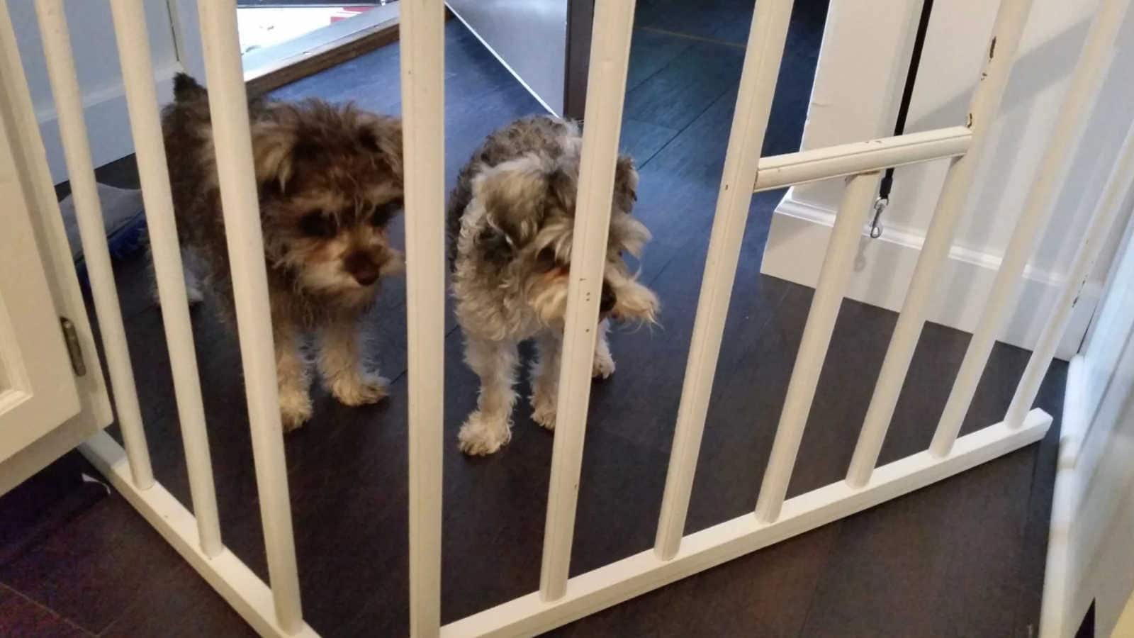 diy dog gate from crib rails