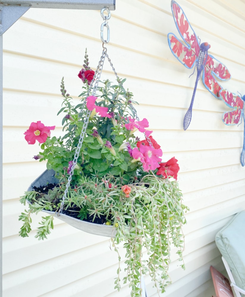 antique hanging scale as a planter