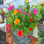 Fun and Junky Planters for Your Yard