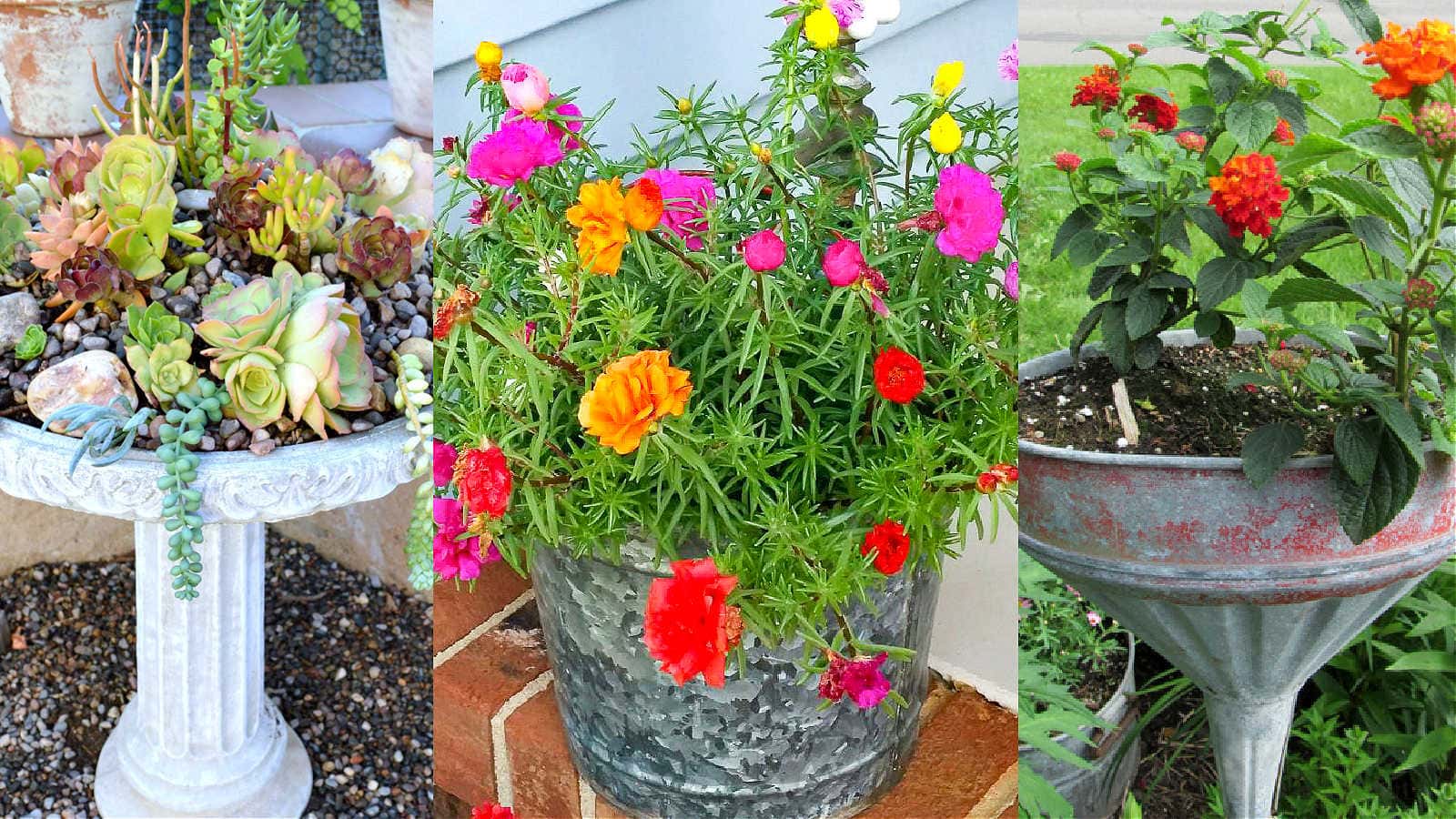 Fun and Junky Planters for Your Yard