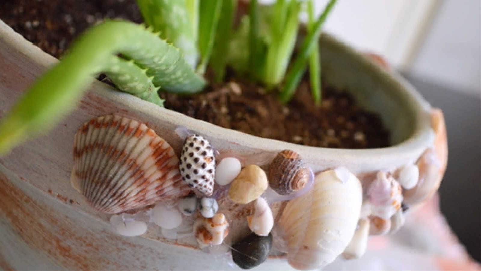 decorating a flower pot with shells
