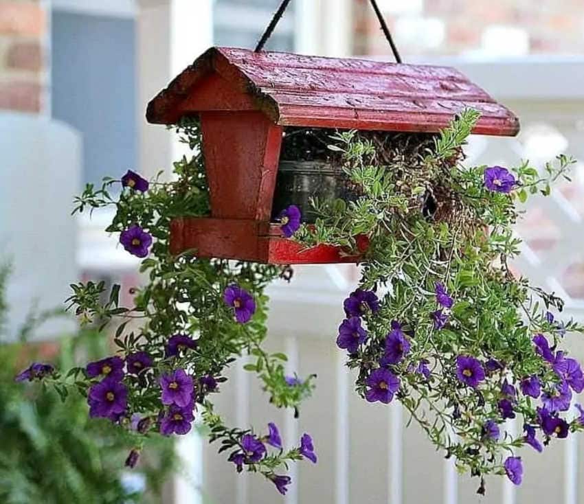 old birdfeeder turned into a planter