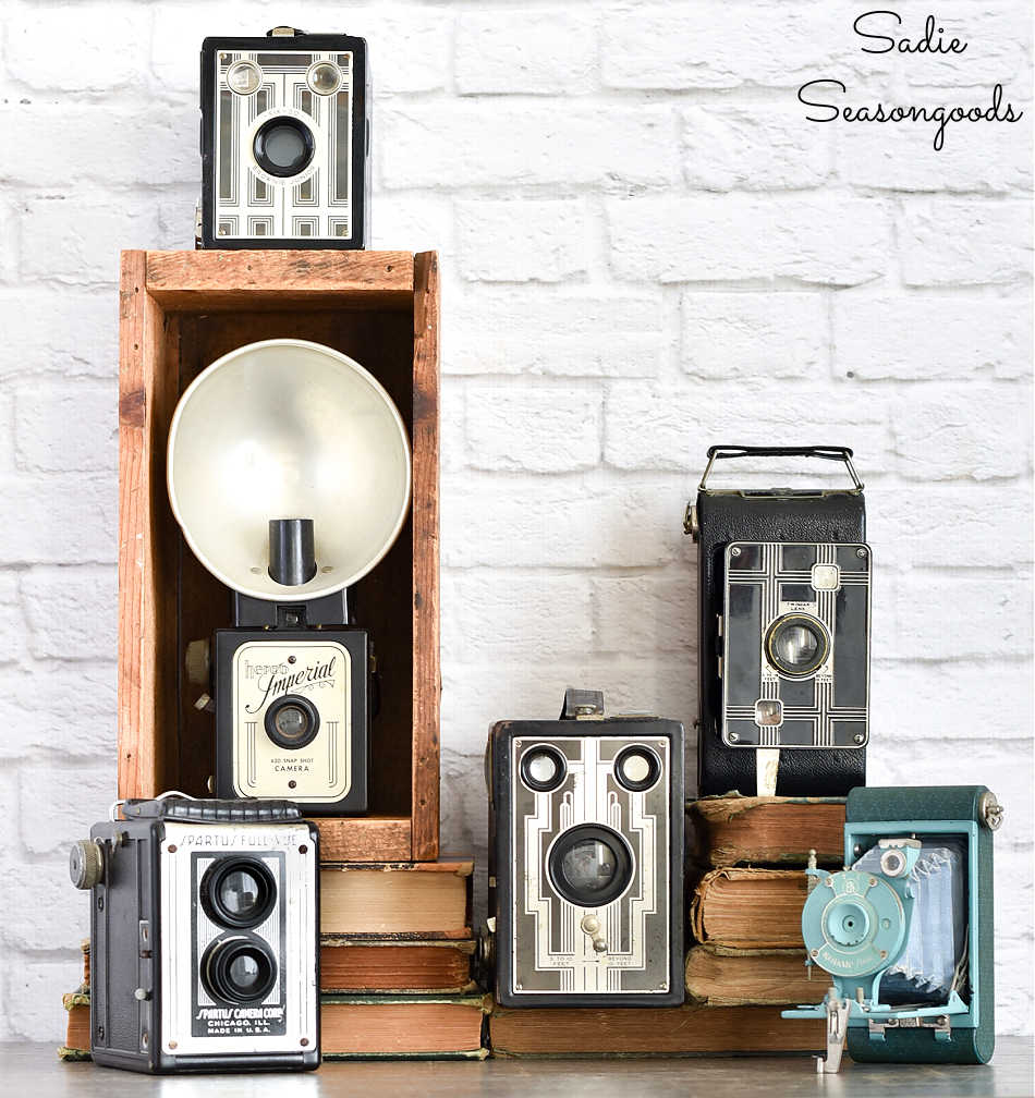 decorating with vintage cameras