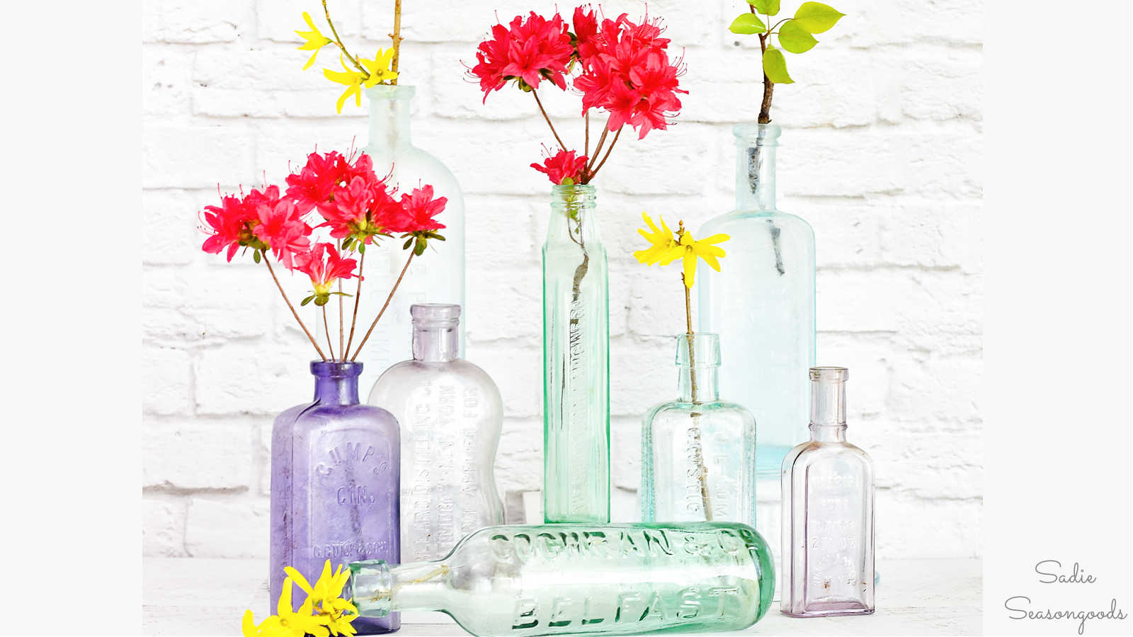 vintage bottles as vases