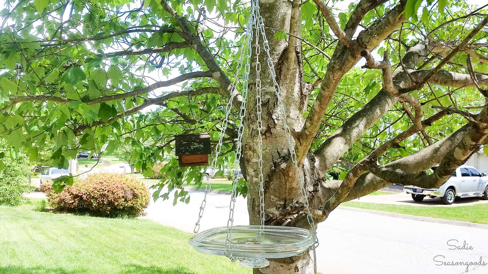 hanging bird bath
