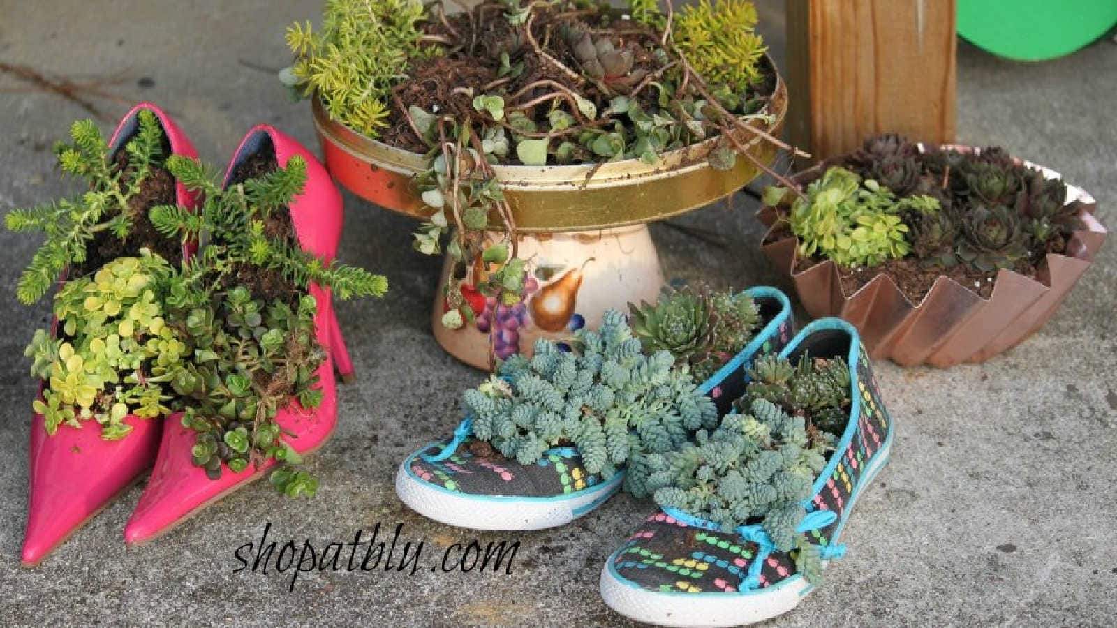 shoe planters