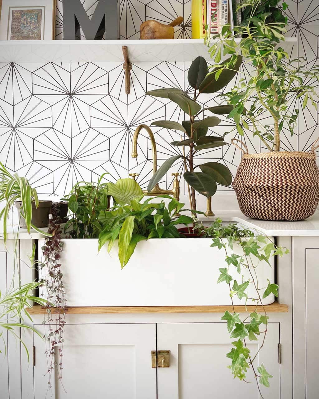 10 Ways To Bring Biophilic Design Into Your Home