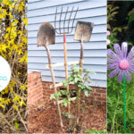 yard decor