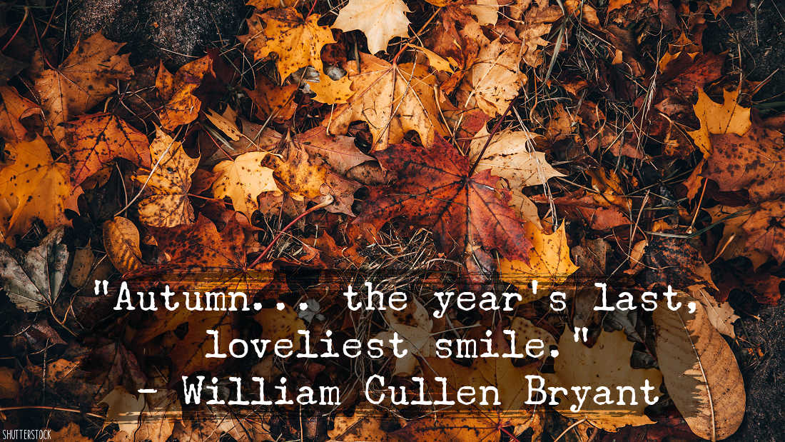 autumn the year's last loveliest smile